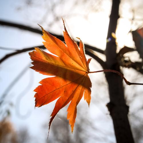 Photo #1598062