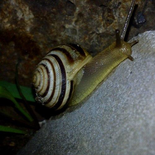 Photo #1599796