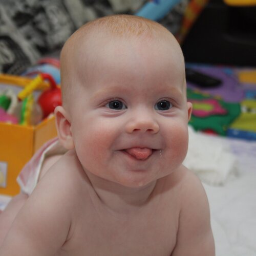 Photo #1600913
