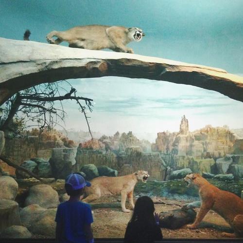 Photo #1605063