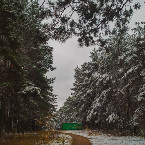 Первый снег