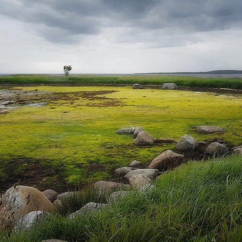 Осенняя палитра