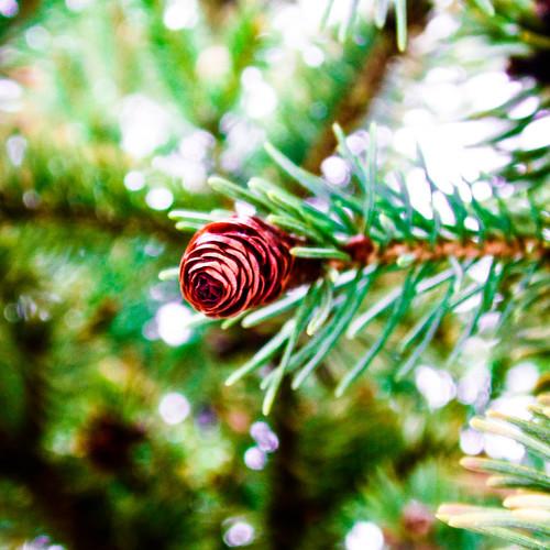 Photo #1611433