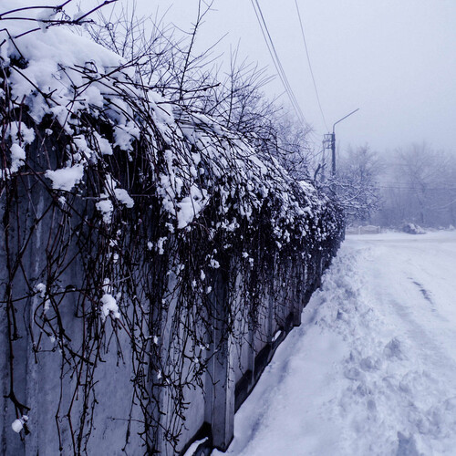 Photo #1611440