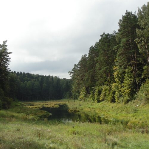 Краснолесье