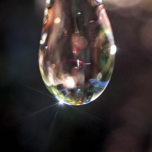 Sunshine on water drop!