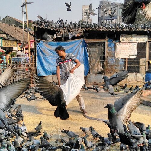Mumbai Life