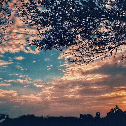 Nature