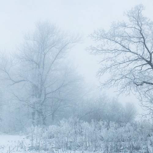 Photo #1615939