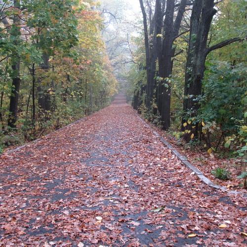 Осень. Непейцевский парк в Уфе