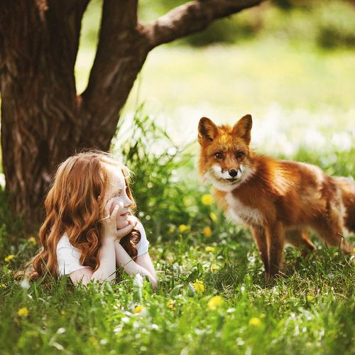 Анечка и лиса Алиса