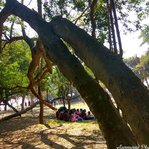 Picnic