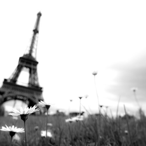 Parisian beauty