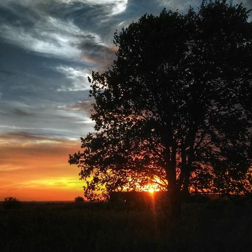 Photo #1620790