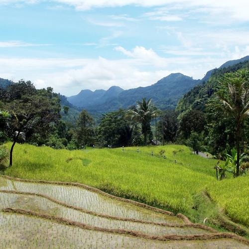 Tanah Airku Indonesia