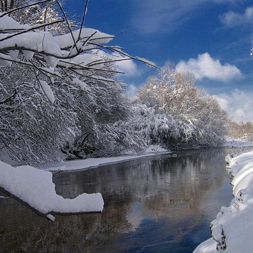 Photo #1623001