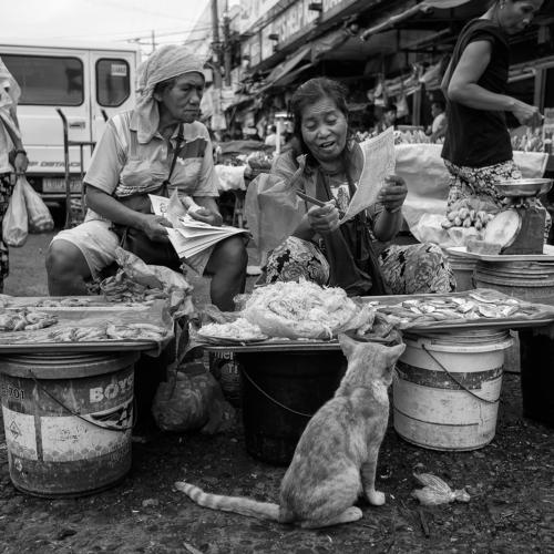 Market landscape