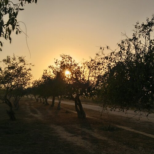 beach sunset