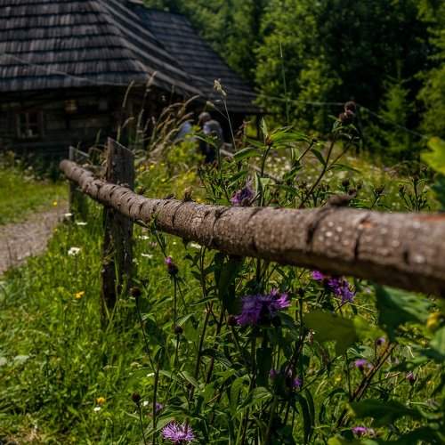 Домик в деревне