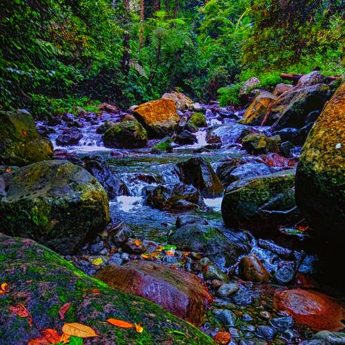 peacefull place