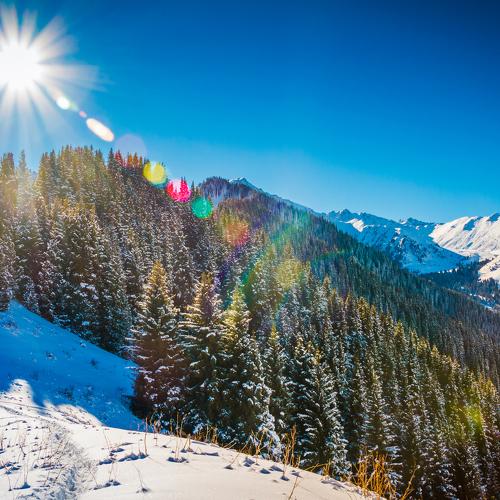 Sun over the mountains