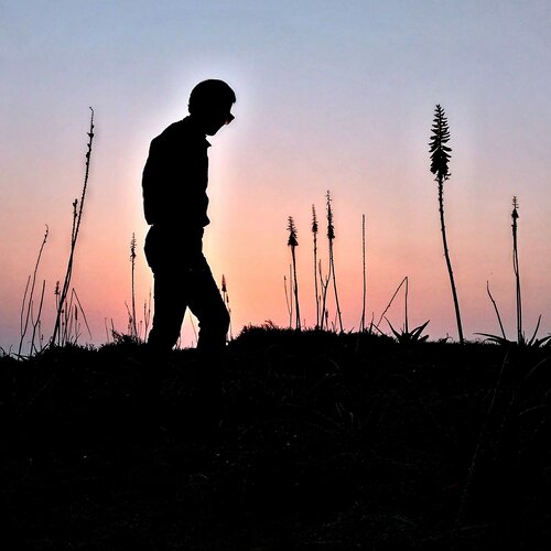 Backlight