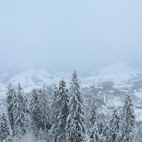 Photo #1627973