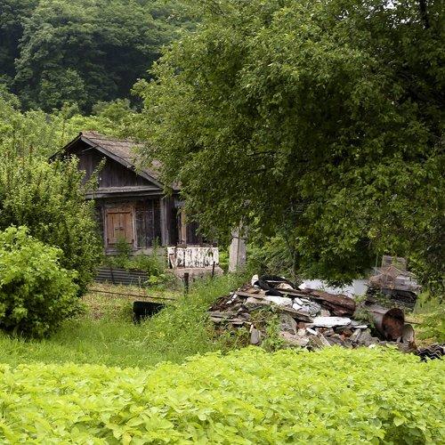 В дали от людей