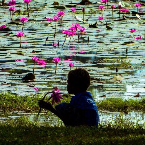 Flower Salesman
