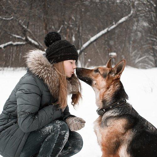 die Liebe