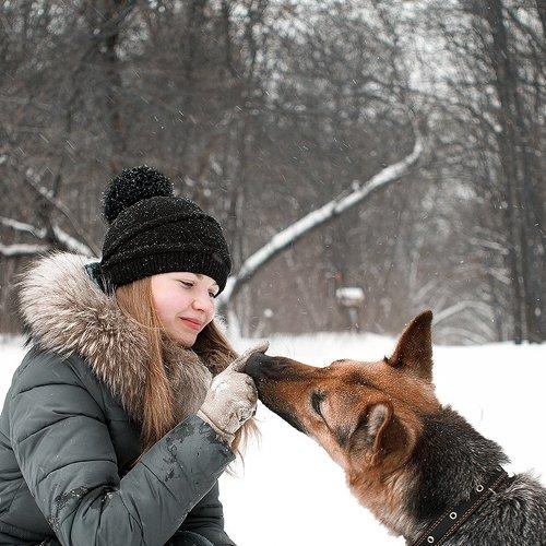 die Liebe