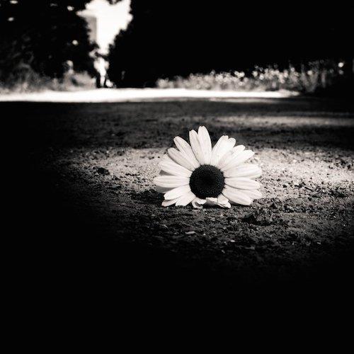 Left Behind