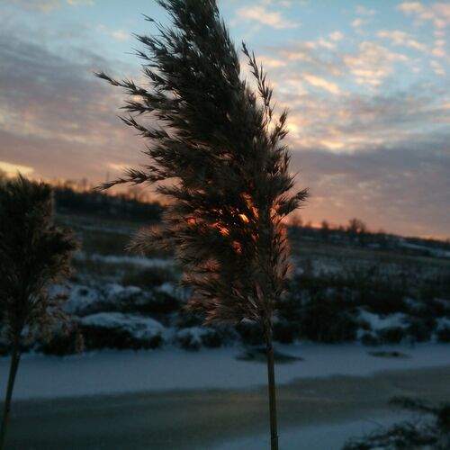 Winter Sunrise at the River/ Зимний рассвет на реке.