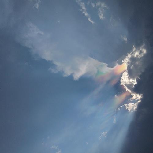 Photo #1635270