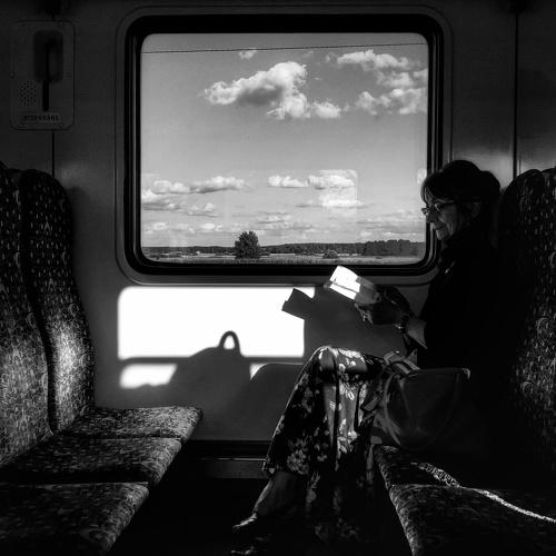 Reading on a sunny day