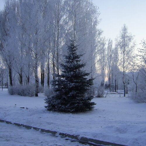 Photo #1637322
