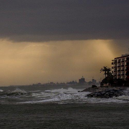 Photo #1638020