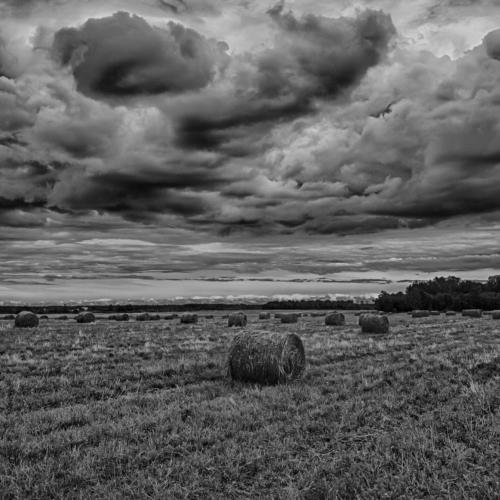 COUNTRY