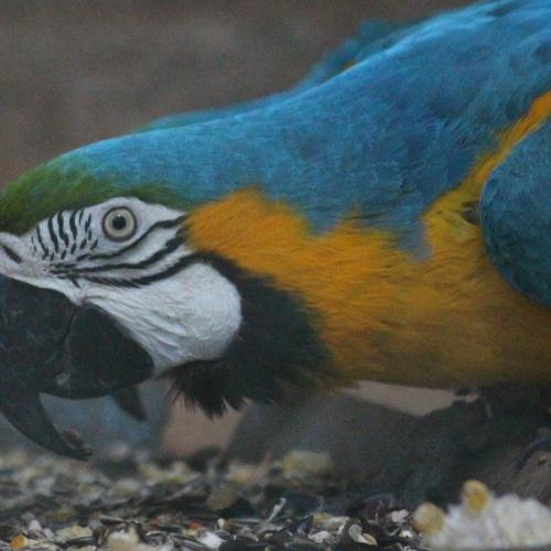 Photo #1640362