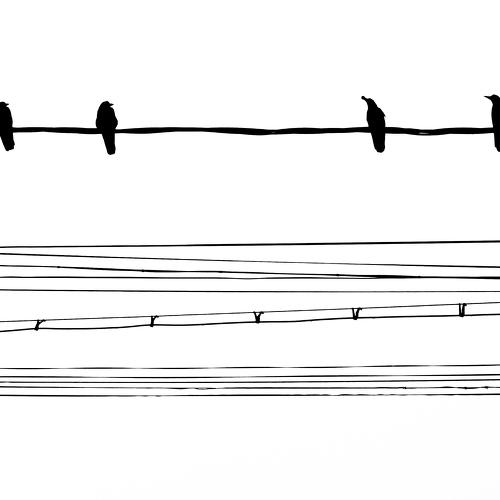 the stave