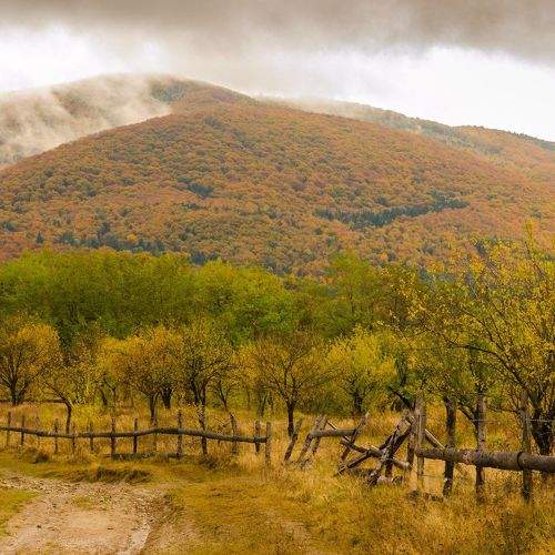 Fifty shades of Autumn