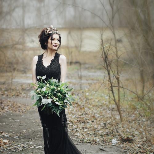 Photo #1645597