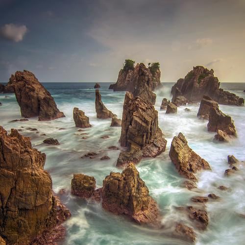 Shark tooth beach