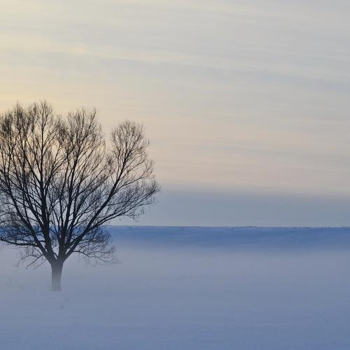 Photo #1647779