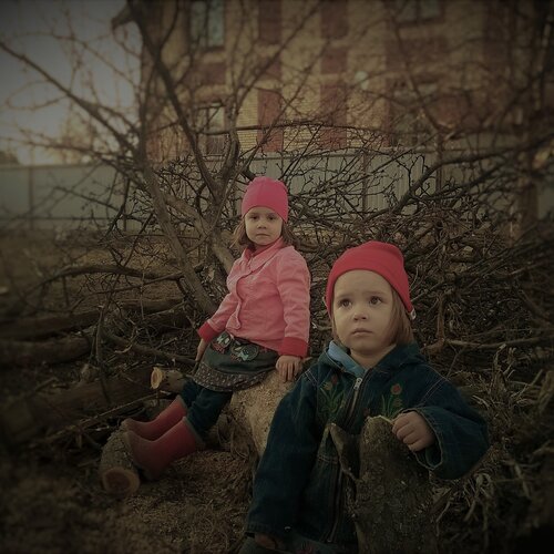 Photo #1648260