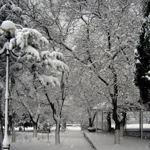 Зима в Крыму