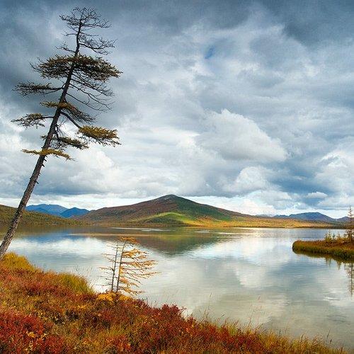 Устье Пурги