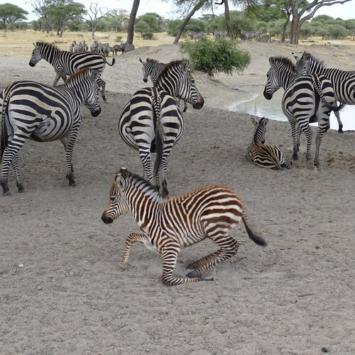 Photo #1652205