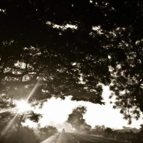 Drive in the morning