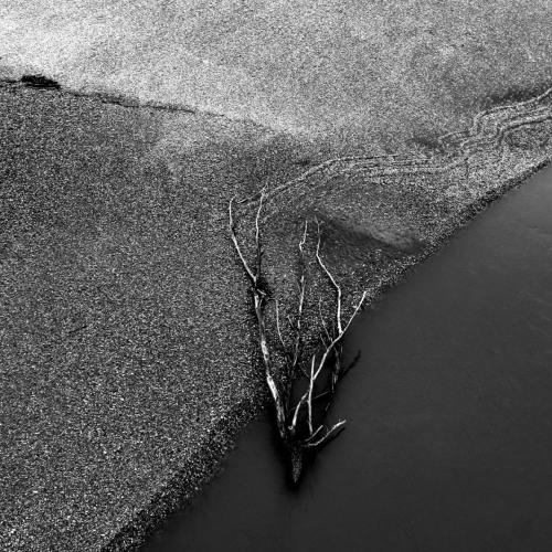 On the river shoal